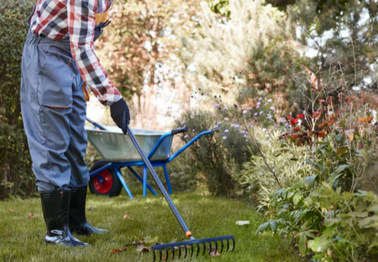 Rakes and Leaf Brooms