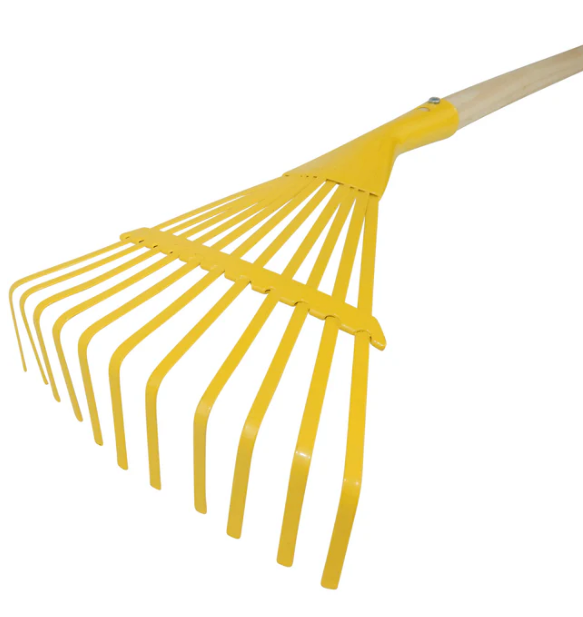 Kid's Fan Rake