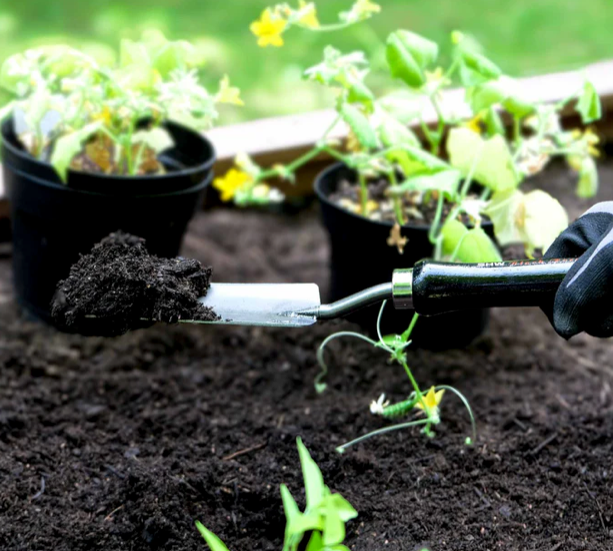 Short Hand Trowel, Scoop and Claw Combo Pack