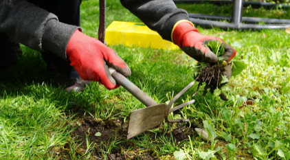 Weeders and Scrapers