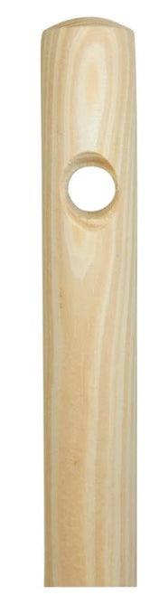 Kid's Push Broom